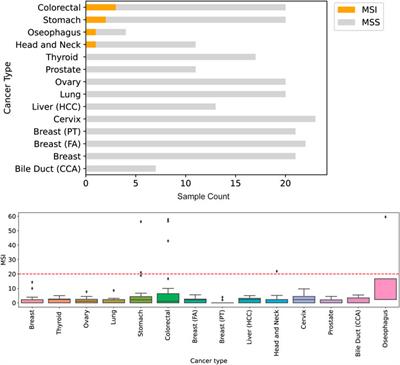 A comprehensive next generation sequencing tissue assay for Asian-prevalent cancers—Analytical validation and performance evaluation with clinical samples